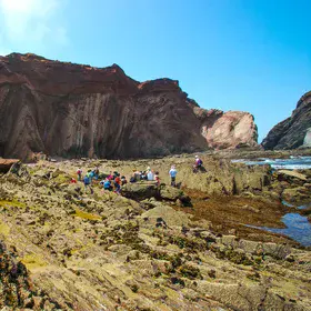 Telheiro Beach Variscan Unconformity (Geology)