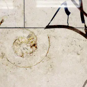 Signs of life - an ammonite fossil next to a tag in a metro station